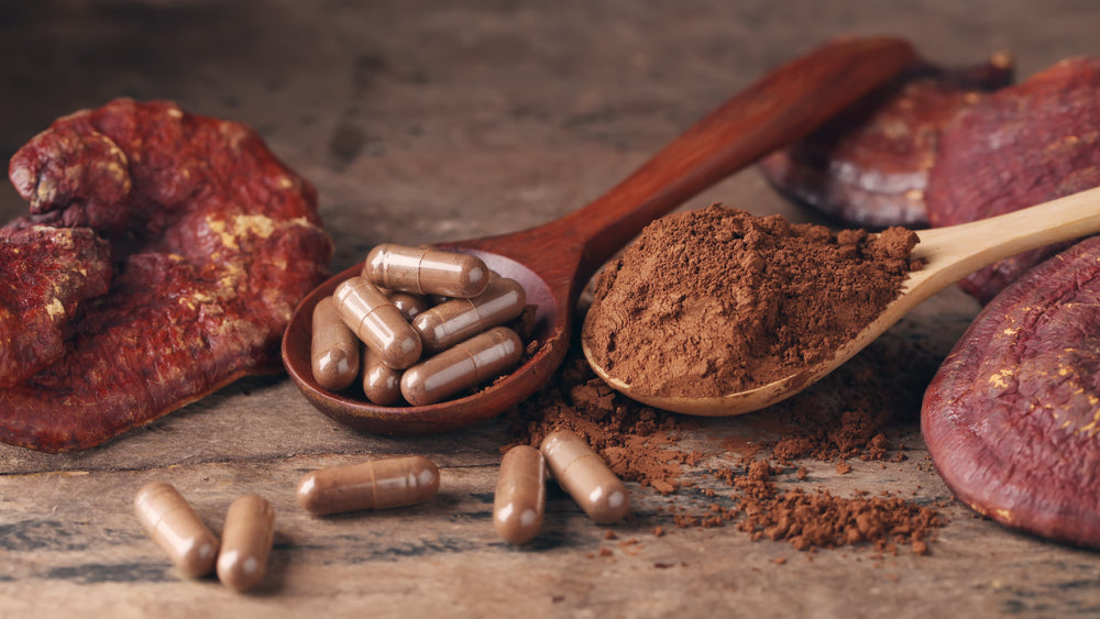 medicinalmushroom.jpg__PID:07c90202-3f51-4041-b354-f18afad7d06f